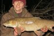 My last barbel of the 2019-2020 river fishing season - a barbel of 11lb 10oz from the Derbyshire Derwent