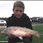 Josh Cook