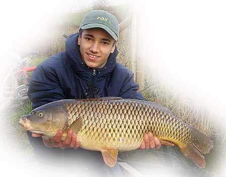 Natty with a beautiful common