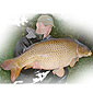 Phil Bury