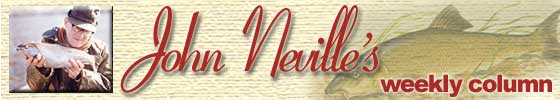 johnnevillecolumn.jpg (12190 bytes)