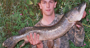 Lure fishing for pike