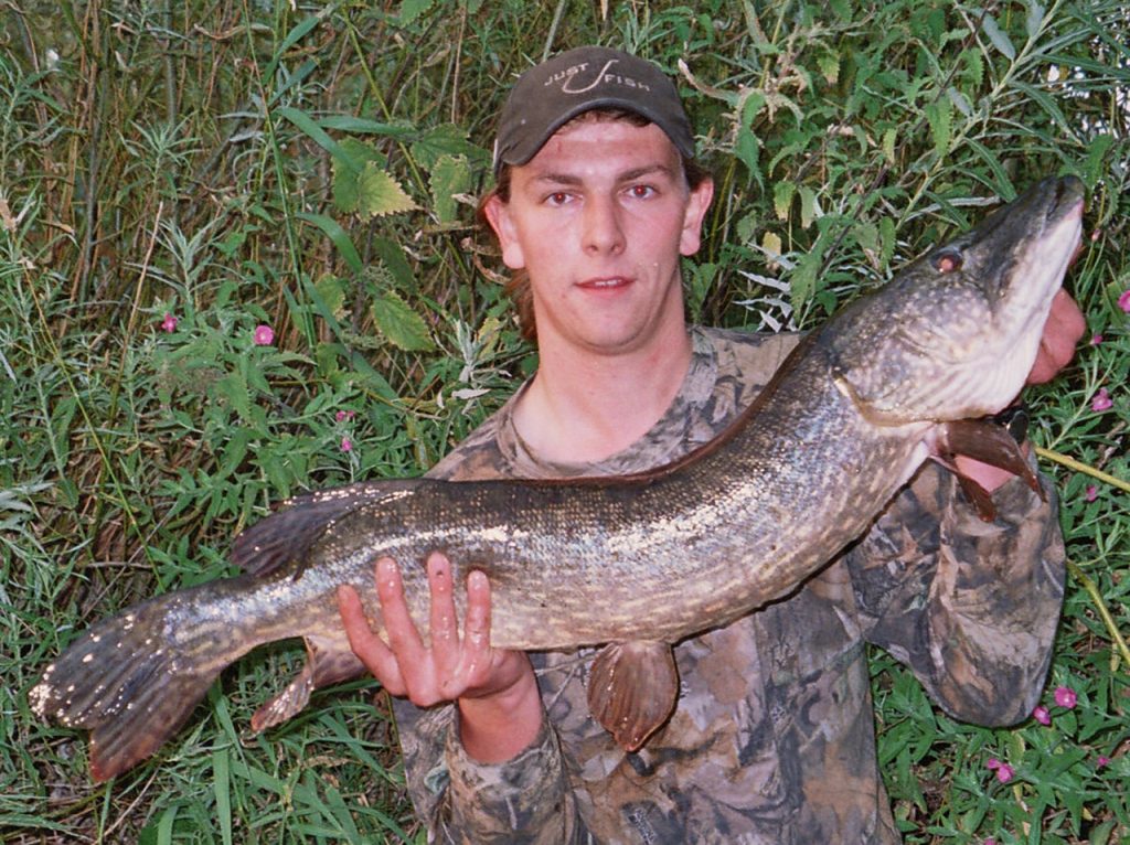 Lure caught pike from a river