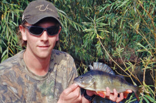 The hunt for a 3lb perch - fishing