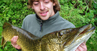 An October PB pike for Matt, all 15lb 14oz of river pike