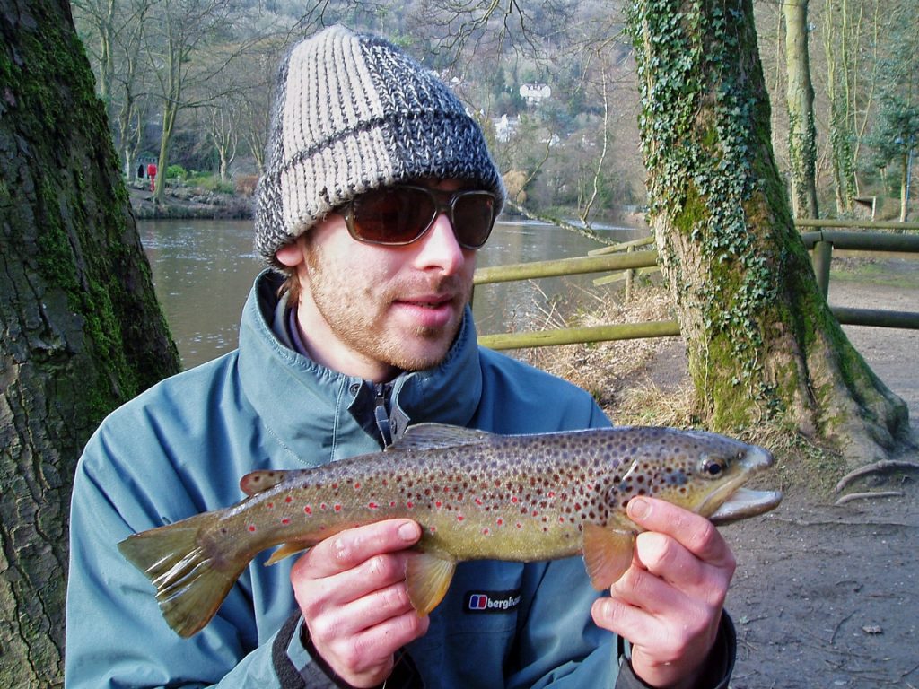 River Derwent wild brown trout