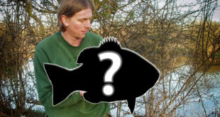 Surprise mystery fish saves the day on an early spring tench & pike session