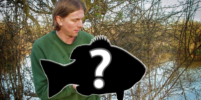 Surprise mystery fish saves the day on an early spring tench & pike session