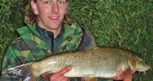 9lb River Trent barbel - specimen angling for bream, chub, river carp