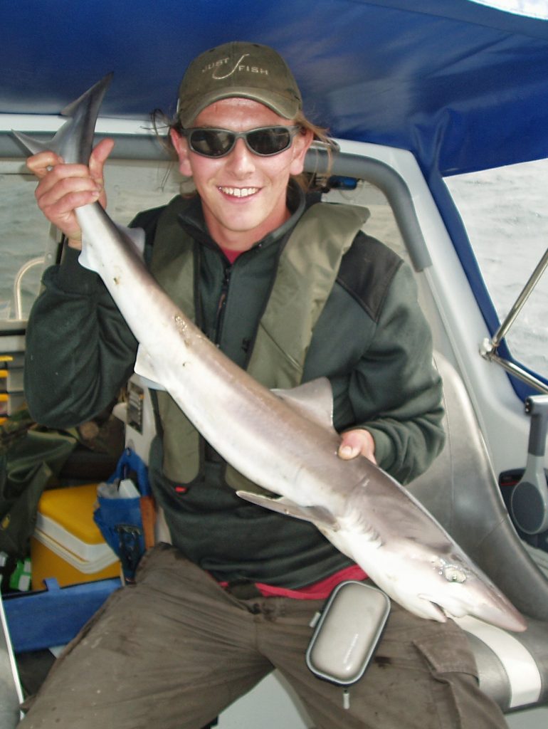 Small tope shark - tope fishing from a boat in Scotland