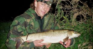 A River Trent barbel taken after ringing the tactical changes