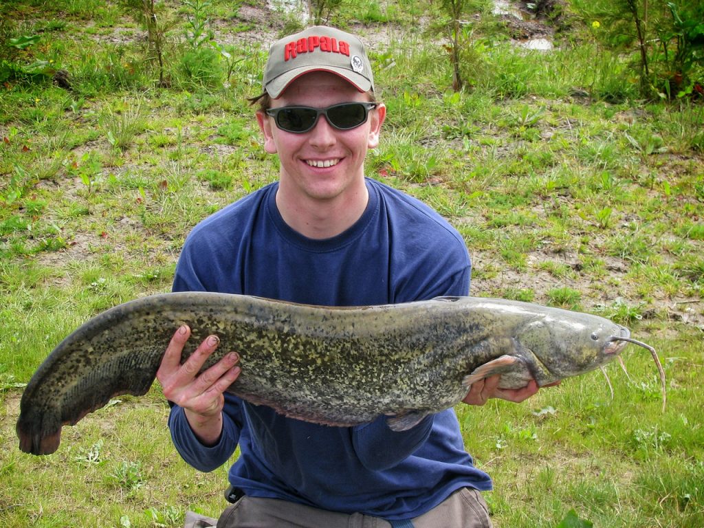 Andrew's first wels catfish was a double-figure fish caught on a worn medusa rig.