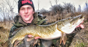 Pike fishing