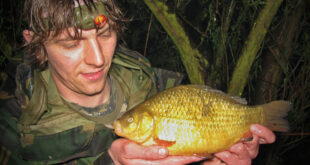 Specimen crucian carp fishing