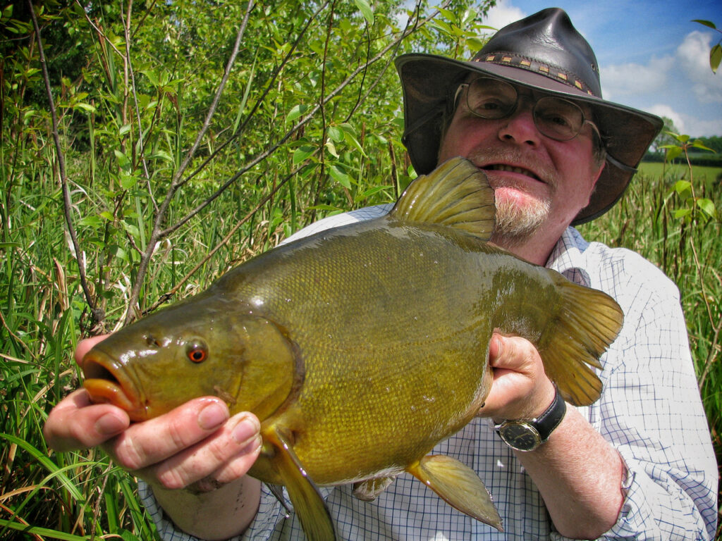 A beautiful late spring tench