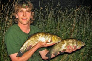 River chub brace - 4lb & 5lb chub fish