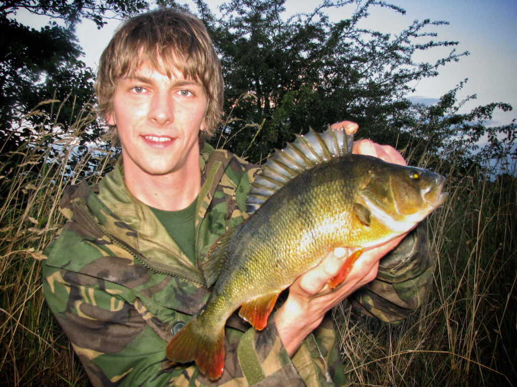 2lb 12oz perch caught on a lure