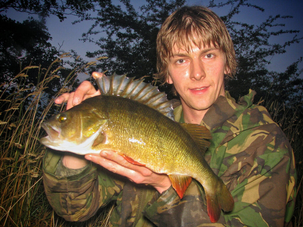 3lb perch — specimen lure fishing 