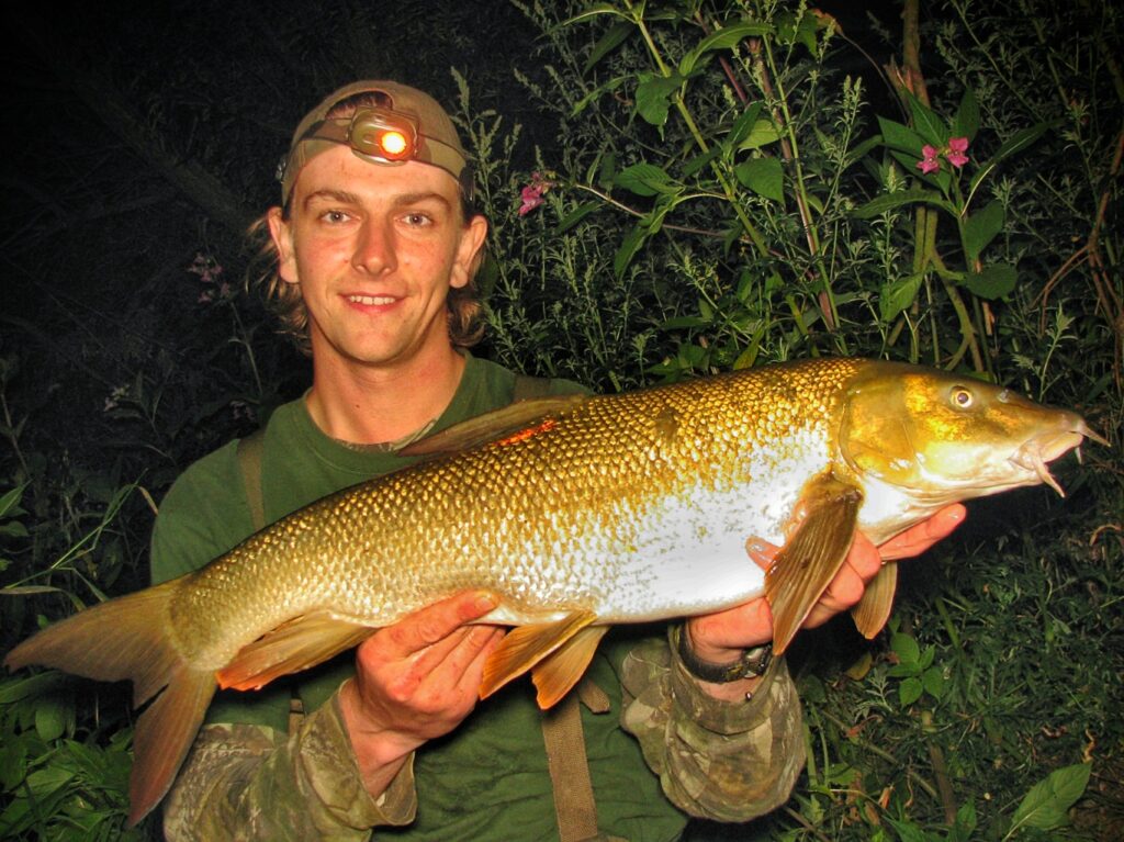 A lovely summer barbel