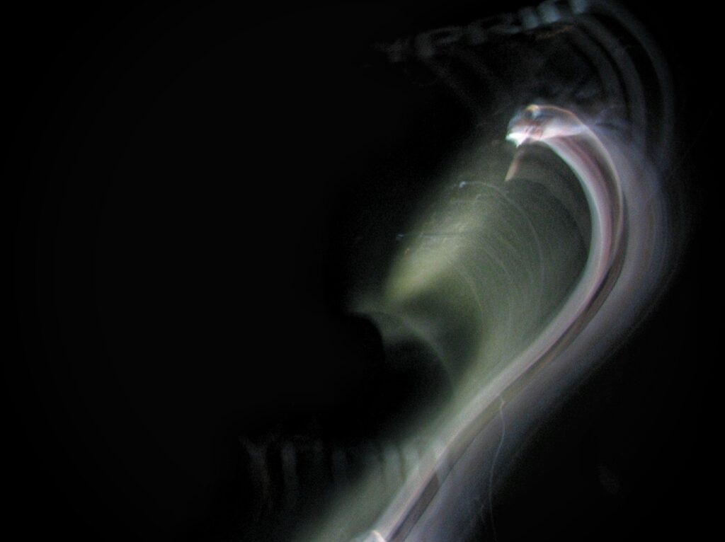 Light from my headlamp which looked like a ghostly cobra!