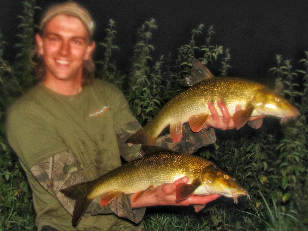A brace of small barbel from a double hook-up on the Derbyshire Derwent 