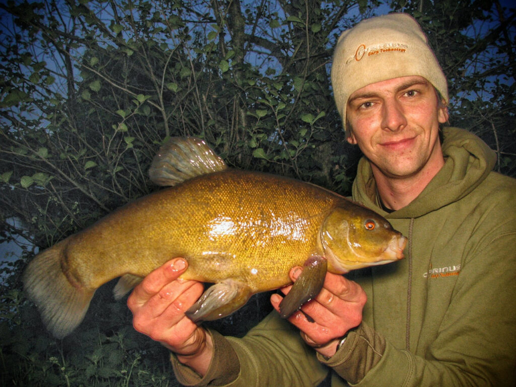 Tench from Higham Farm specimen lake, caught on a maggot medusa rig