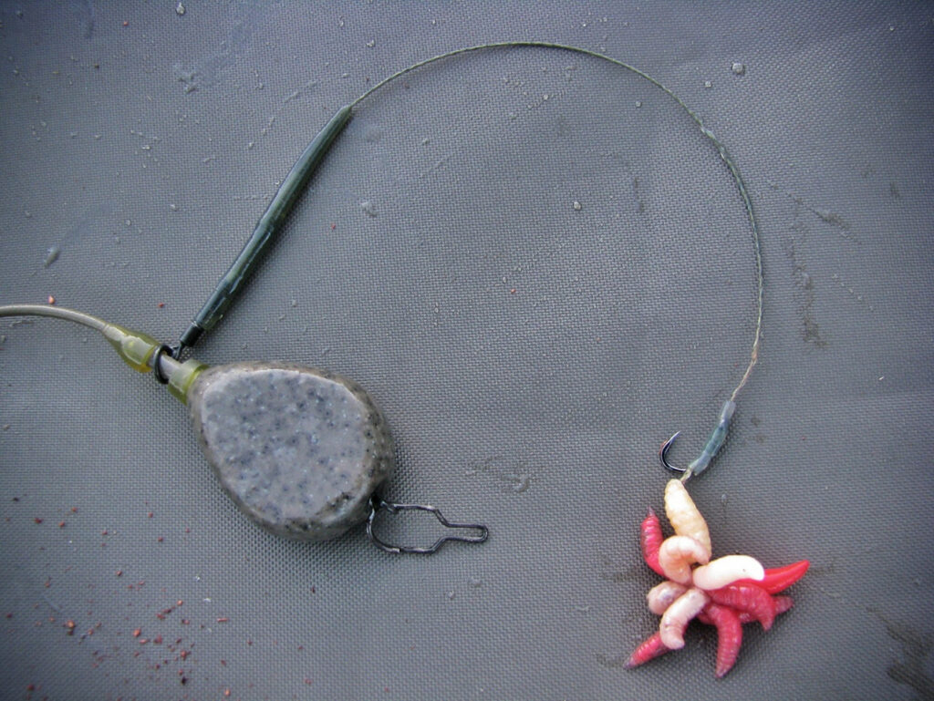Maggot medusa helicopter rig for specimen tench & bream
