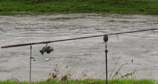 Winter barbel & pike fishing on the River Dove