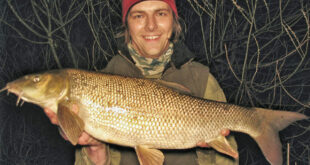 10lb River Derwent barbel - caught after dark in March