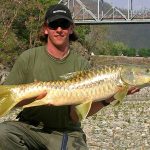 Andrew's PB Himalayan golden mahseer caught from India - fish