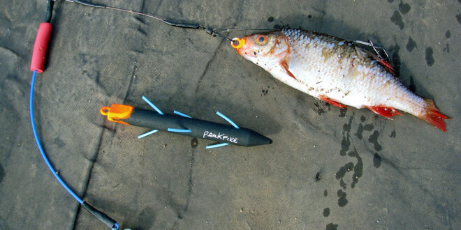 Wobbling rig for pike fishing with deadbait by Peak Pike