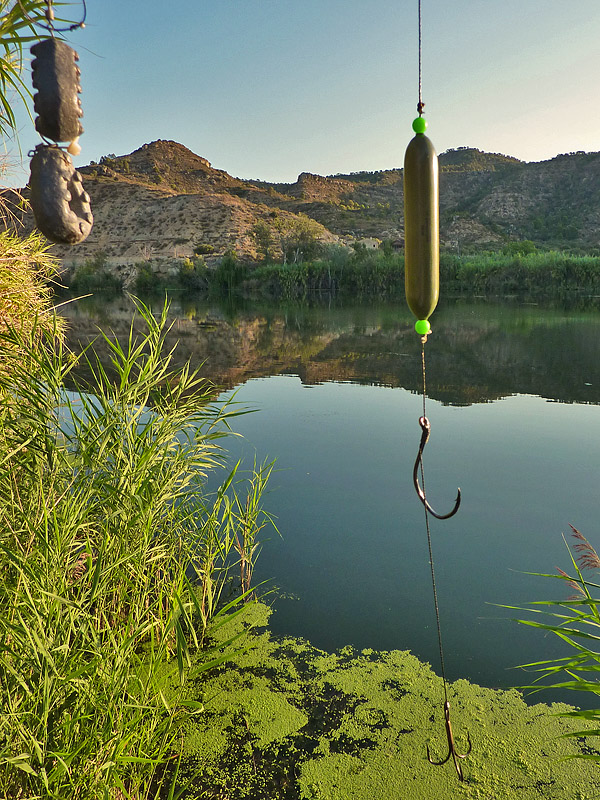 River Ebro popped-up catfish rig