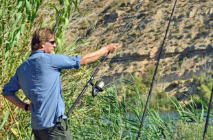 Setting the baits from the bank