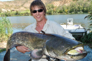 Andrew's PB wels catfish from the Rio Ebro in Spain - fish
