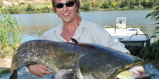 Andrew's PB wels catfish from the Rio Ebro in Spain - fish
