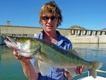 zander fishing - alternative River Ebro