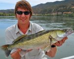 PB overseas zander (bait caught) from the River Ebro in Spain