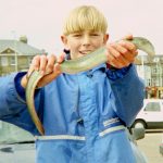 3lb european eel PB (sea)