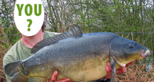 Guest fishing blog contributors wanted!