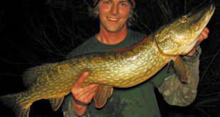 Double figure pike