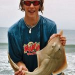 Andrew's shovel-nosed ray PB from Australia