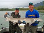 sturgeon fishing Canada Fraser River British Columbia BC - Andrew's PB white sturgeon fish