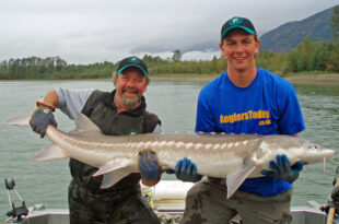 sturgeon fishing Canada Fraser River British Columbia BC - Andrew's PB white sturgeon fish