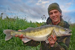 zander fish