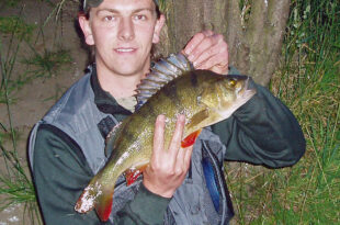 Andrew's PB perch, 3lb 9oz