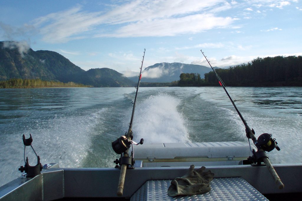 Sturgeon fishing Chilliwack, British Columbia