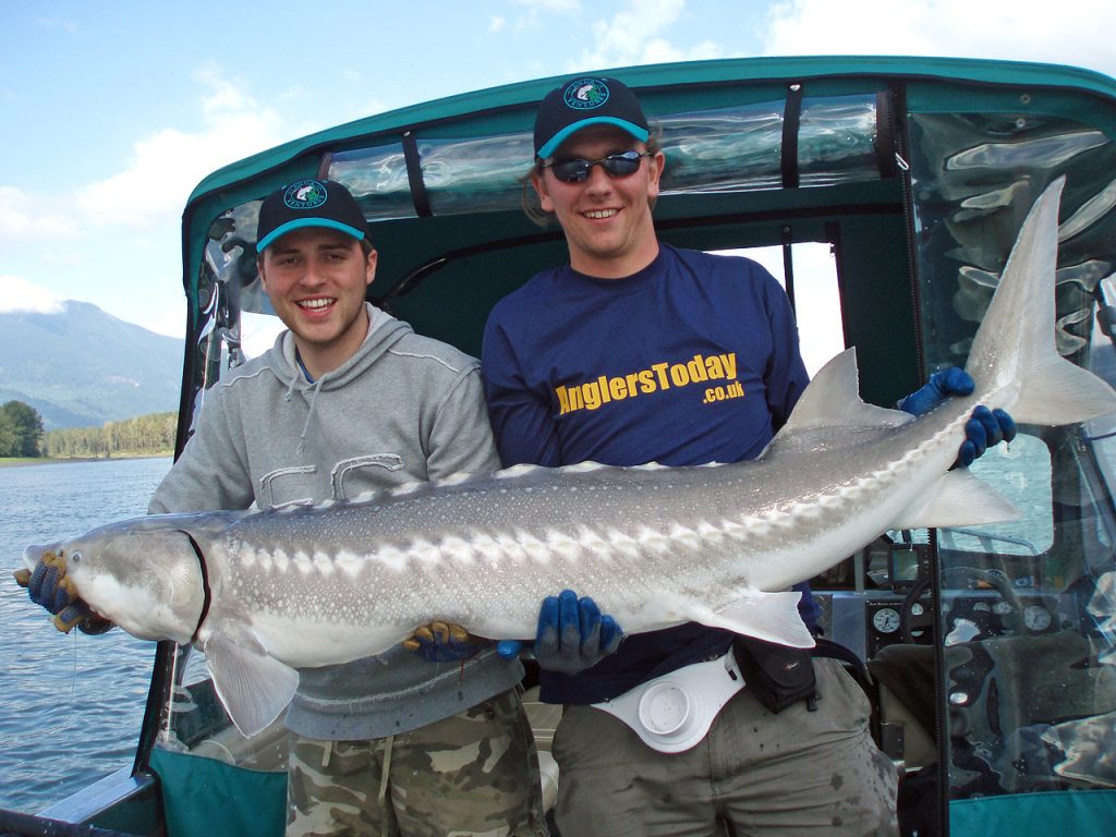 100lb Canadian sturgeon