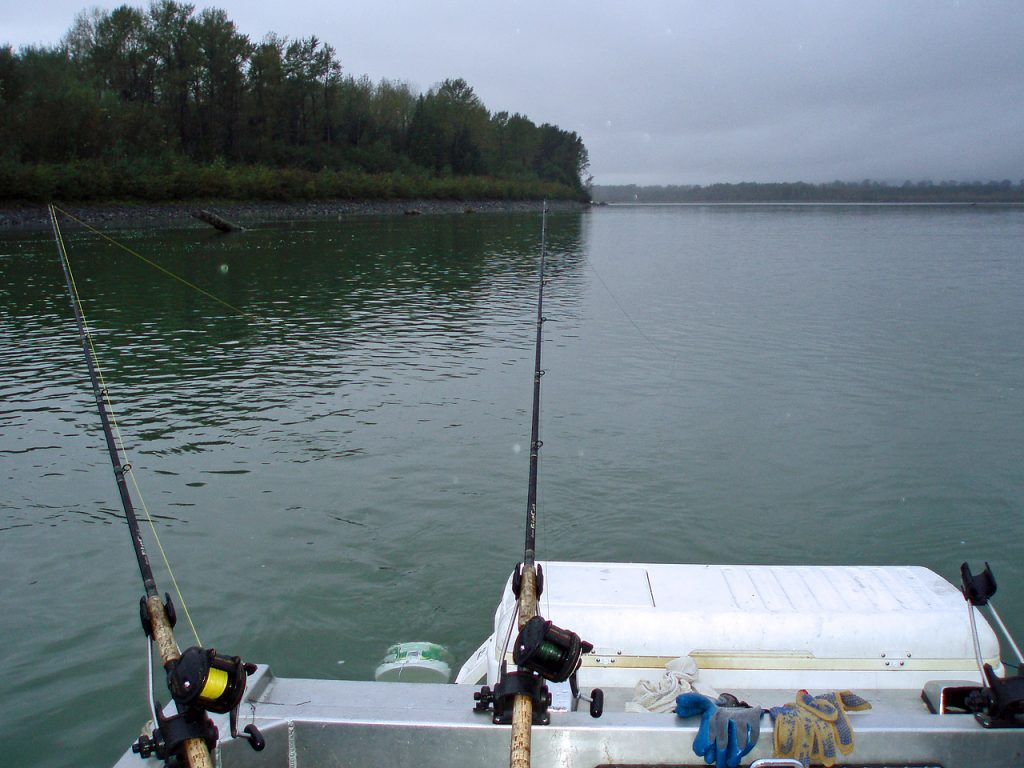 Sturgeon fishing from a boat on the Fraser river in Canada