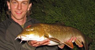 Double figure River Dove barbel