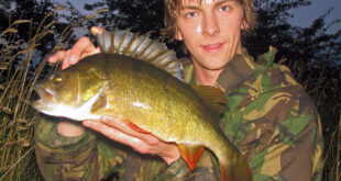 Locating specimen perch fish on rivers, drains & canals